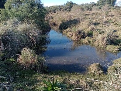 82 hectáreas en Pueblo Edén