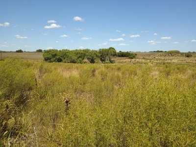 23 hectáreas en Lavalleja con arroyo
