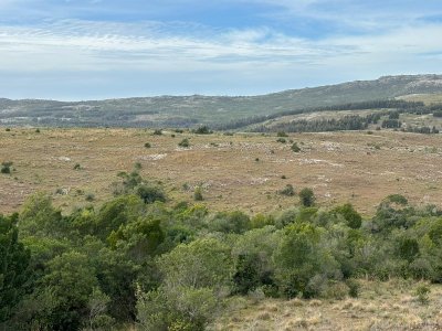 200 hectáreas con muy buena vista