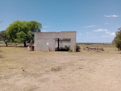 21 hectáreas en Lavalleja