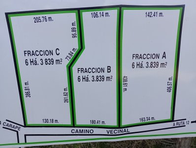 5 hectáreas en Maldonado