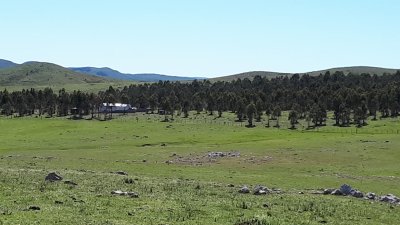 115 hectáreas en Lavalleja