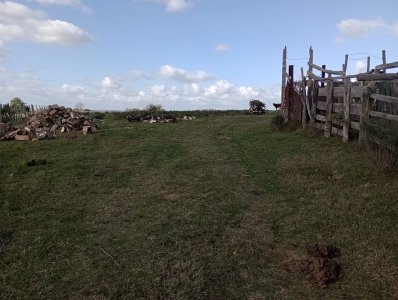 58 hectáreas en Canelones