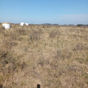 130 hectáreas en Canelones