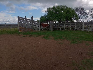 140 hectáreas en Lavalleja