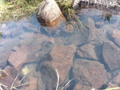 106 hectáreas en lavalleja