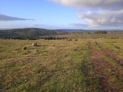 20 hectáreas con tapera, cañada y monte nativo