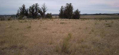 40 hectáreas en Lavalleja