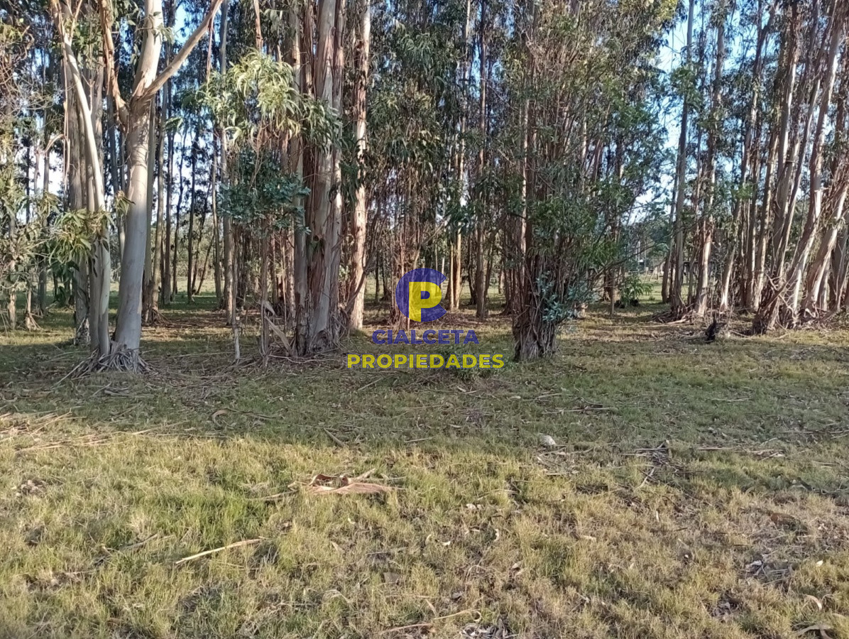 Zona Rural - GoPunta - Portal Inmobiliario de Punta del Este - Maldonado