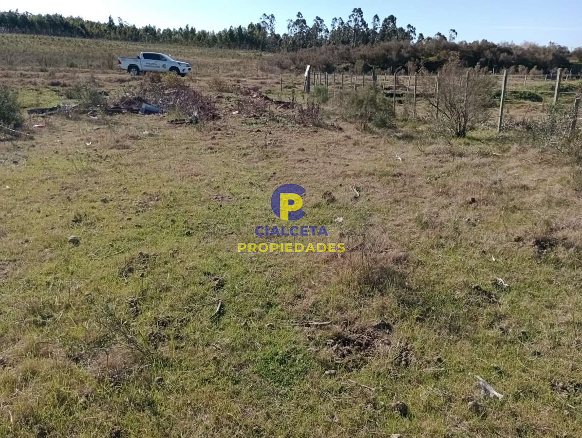 Estacion Pedrera - GoPunta - Portal Inmobiliario de Punta del Este - Maldonado