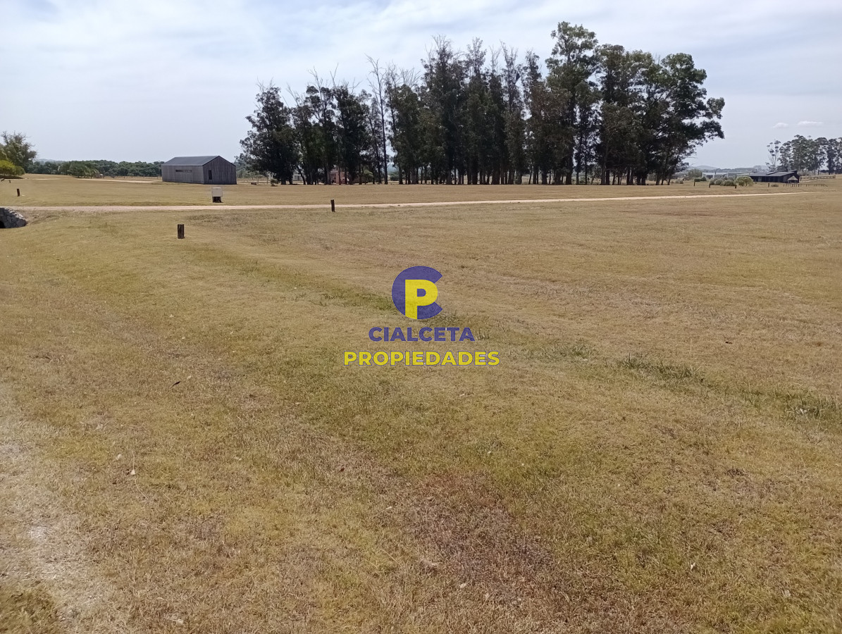El Quijote - GoPunta - Portal Inmobiliario de Punta del Este - Maldonado