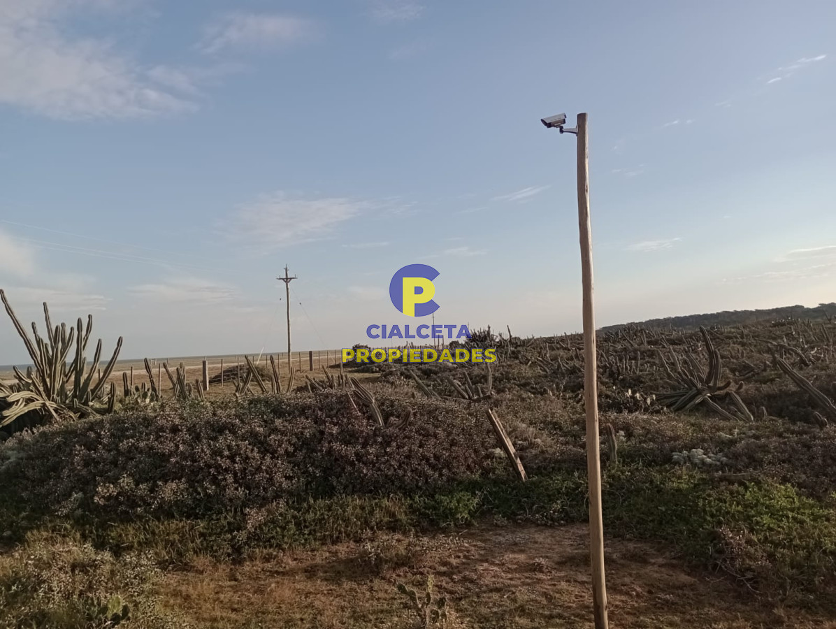 Zona Rural - GoPunta - Portal Inmobiliario de Punta del Este - Maldonado