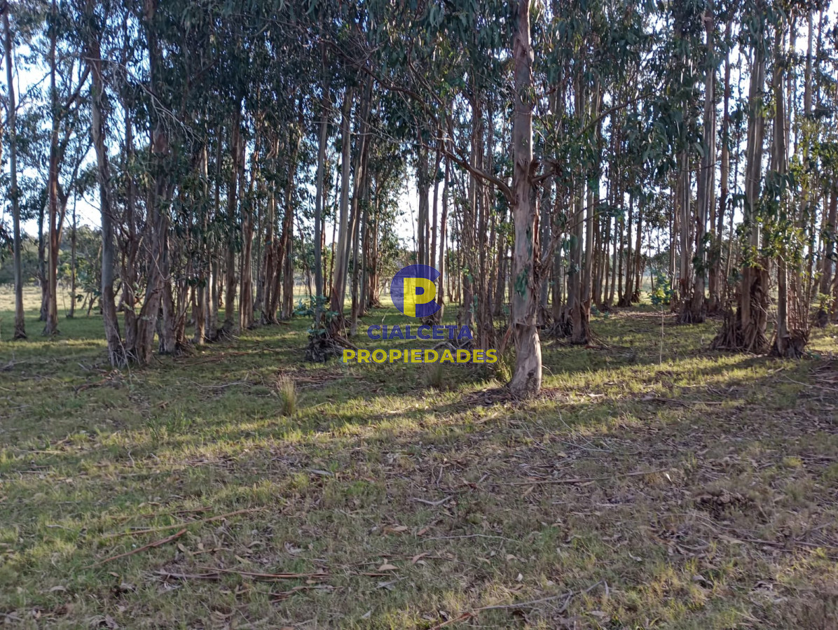 Zona Rural - GoPunta - Portal Inmobiliario de Punta del Este - Maldonado