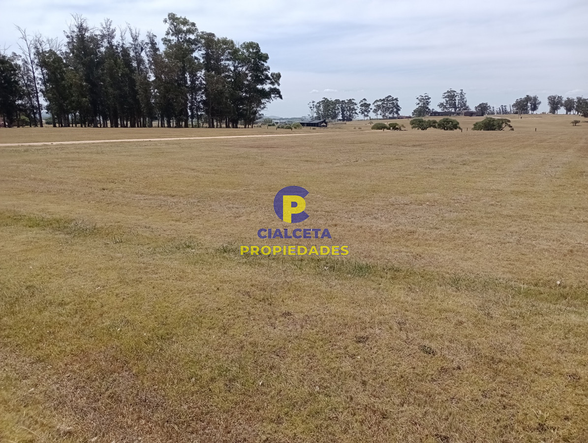 El Quijote - GoPunta - Portal Inmobiliario de Punta del Este - Maldonado