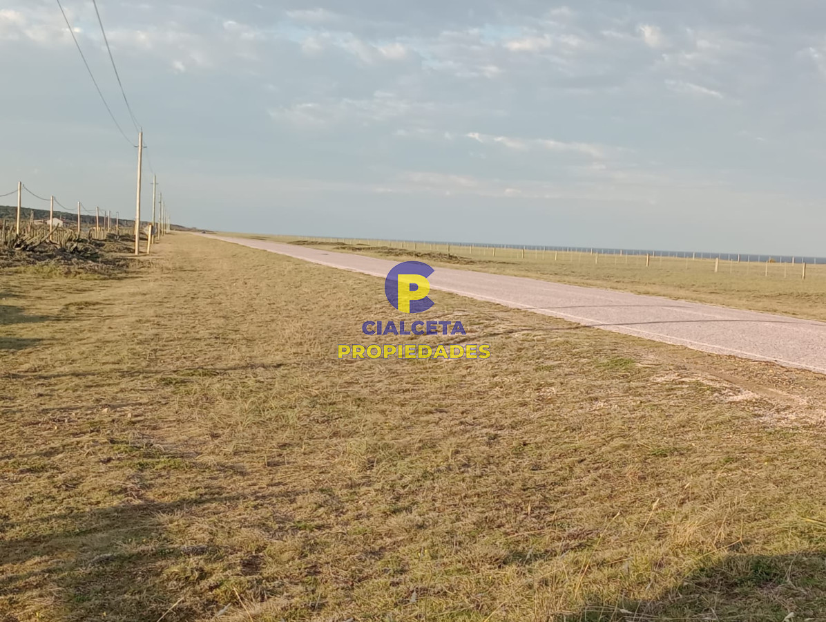 Zona Rural - GoPunta - Portal Inmobiliario de Punta del Este - Maldonado