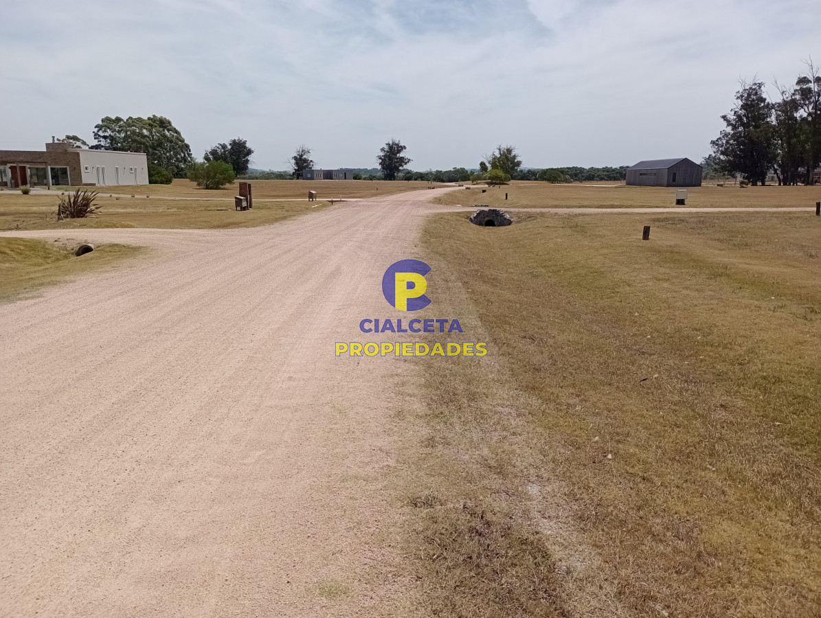 El Quijote - GoPunta - Portal Inmobiliario de Punta del Este - Maldonado
