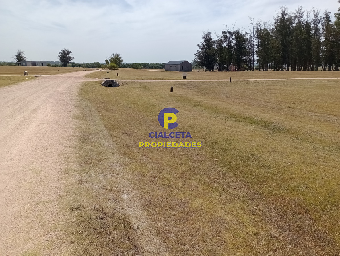 El Quijote - GoPunta - Portal Inmobiliario de Punta del Este - Maldonado