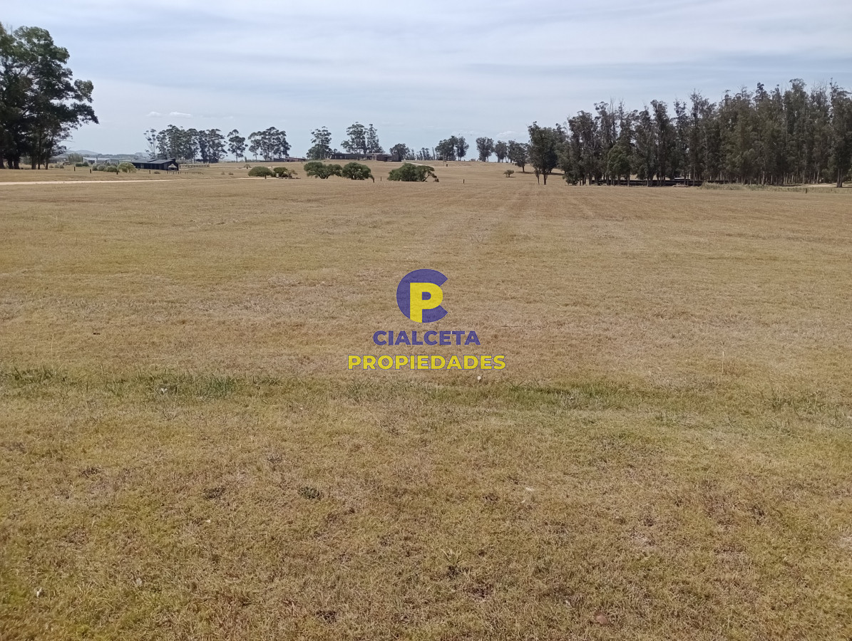 El Quijote - GoPunta - Portal Inmobiliario de Punta del Este - Maldonado