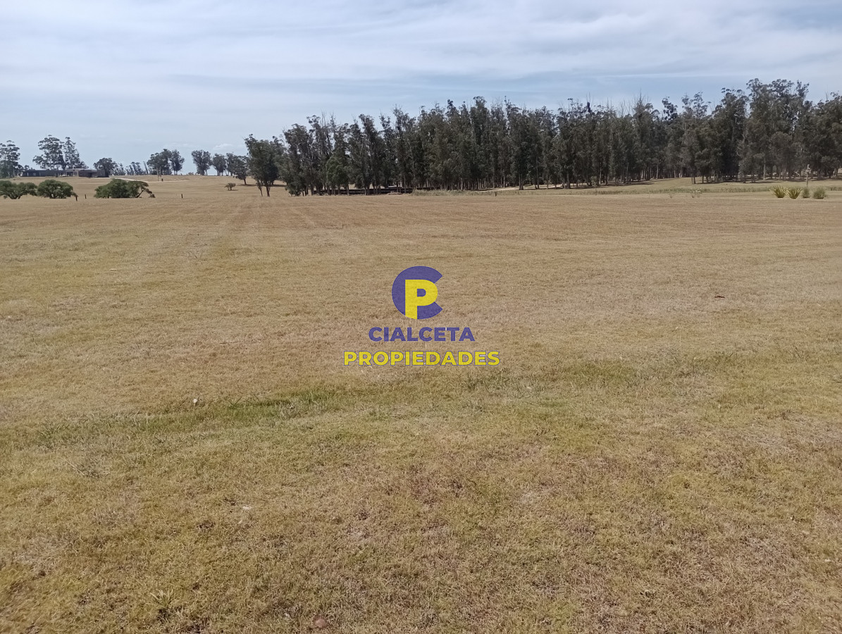 El Quijote - GoPunta - Portal Inmobiliario de Punta del Este - Maldonado