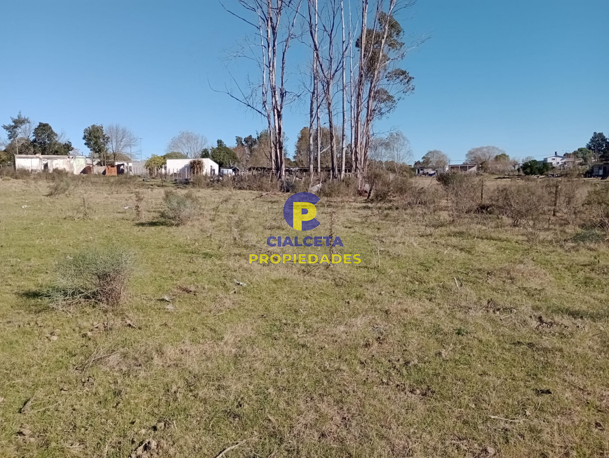 Estacion Pedrera - GoPunta - Portal Inmobiliario de Punta del Este - Maldonado
