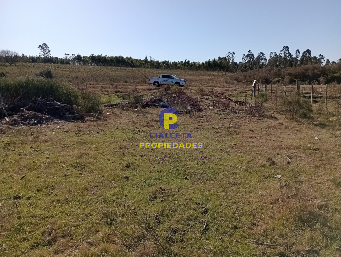 Estacion Pedrera - GoPunta - Portal Inmobiliario de Punta del Este - Maldonado