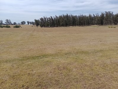 Terreno en barrio El Quijote