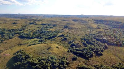 Gran campo ganadero en Tacuarembó!