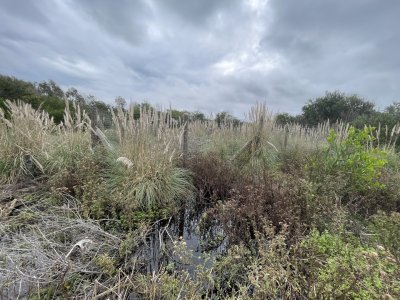 Terreno a 100 metros del mar en Punta Rubia