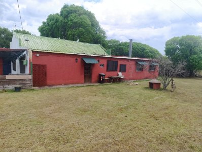 VENTA CHACRA CANELONES SAUCE 4 HA