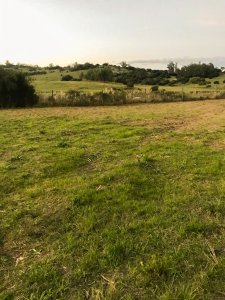 Terreno en Pueblo Eden