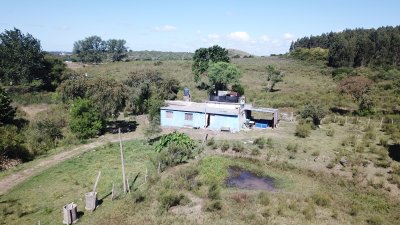Chacra en venta en Minas