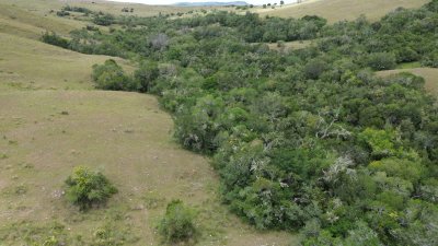 Oportunidad en Los Tapes - Chacra con Agua Natural y Financiación