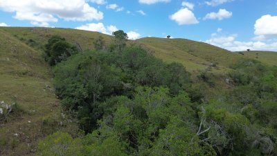 Chacra en Lavalleja con Financiación - 5 Hás. en Entorno Natural Único