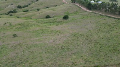 Oportunidad en Lavalleja: Chacra de Fácil Acceso y Lista para Escriturar