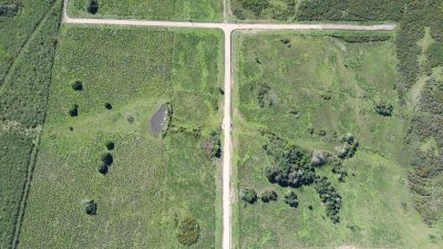 Terrenos de 10.000 m² en Minas - Entorno de Chacra con Luz de UTE