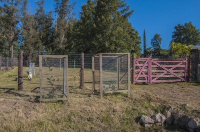 Terreno en venta San Francisco de la Sierra
