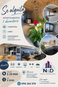 Alquiler Apartamento 1 Dormitorio