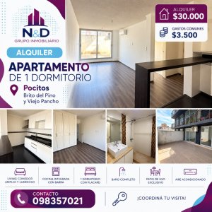 ALQUILER UN DORMITORIO CON PATIO EN POCITOS 