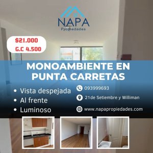 ALQUILER MONOAMBIENTE AL FRENTE EN PUNTA CARRETAS 