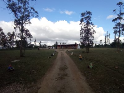 Vendo casa con gran terreno en Joaquín Suarez (Ref:2.236)