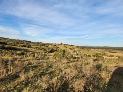 Chacra en Venta (36 has.), Garzón