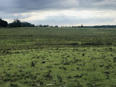 Excelente Campo de 43 hectáreas sobre Ruta 104