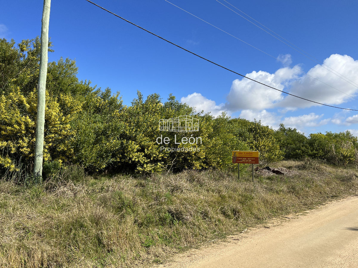 Balneario Buenos Aires - GoPunta - Portal Inmobiliario de Punta del Este - Maldonado