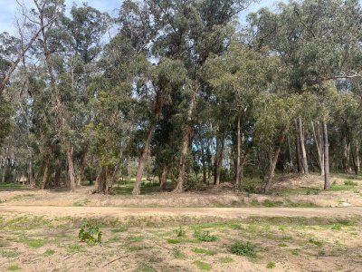 Reserva Montoya lote en venta