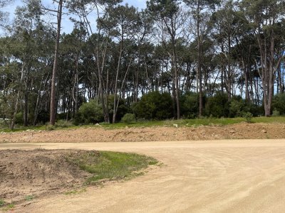 Lote en Venta en Reserva Montoya, La Barra