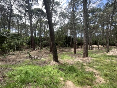 TERRENO EN BOSQUE DE SOLANAS