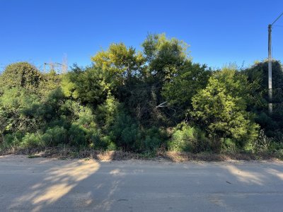 Terreno en El Chorro, 500m2