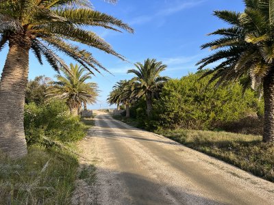 Lote en venta en Santa Mónica