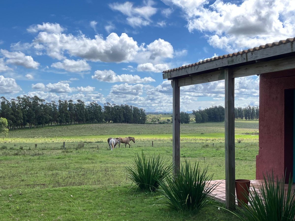 Imagen de Campo en Pueblo Garzón