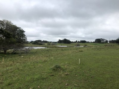 Chacra de 5 hectareas pegada al Barrio Cerrado El Quijote - La Barra 